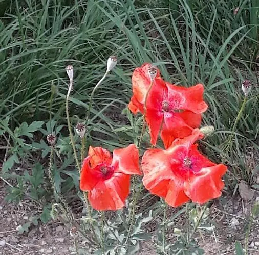 Apartamento Haus Stadel Nr. 36